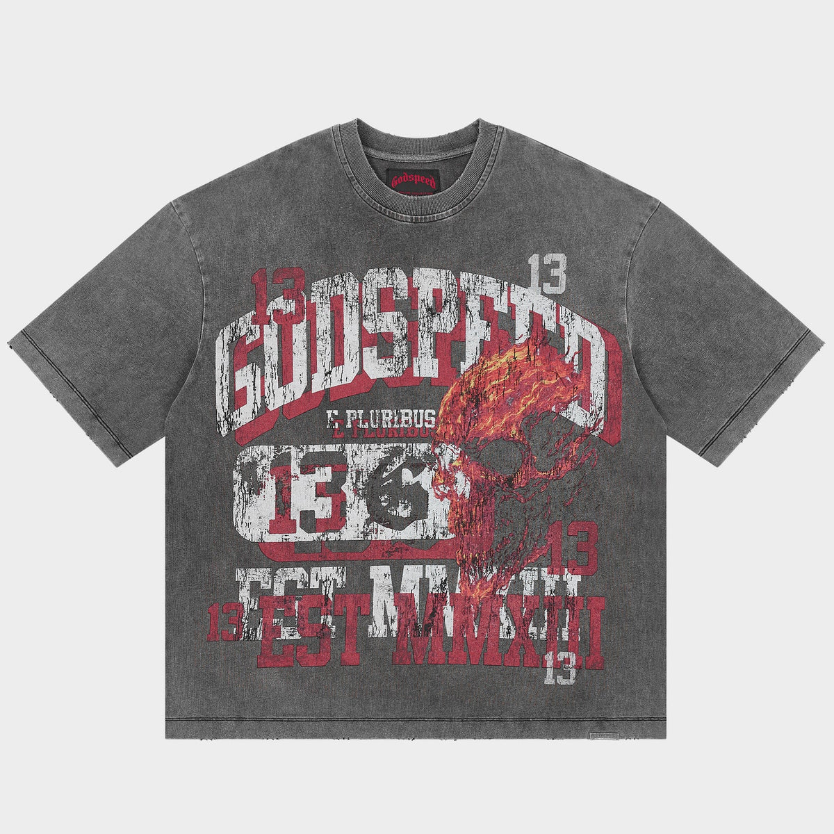 Seeing Double Tshirt (Grey Wash)