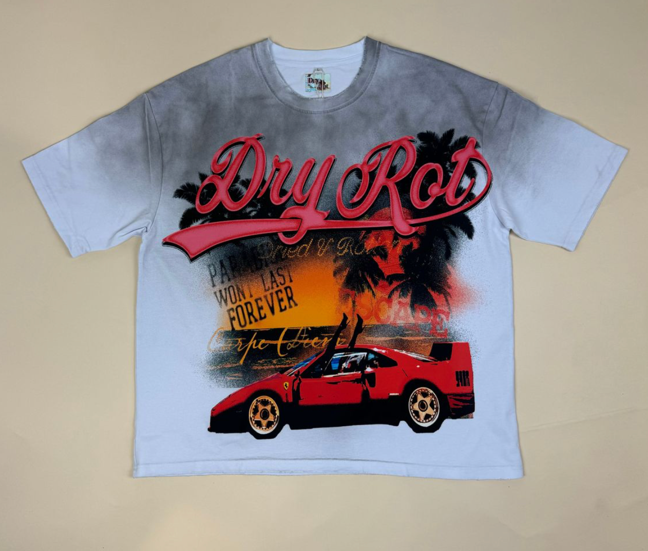 DRY ROT FOR THE MOMENT TEE WHITE