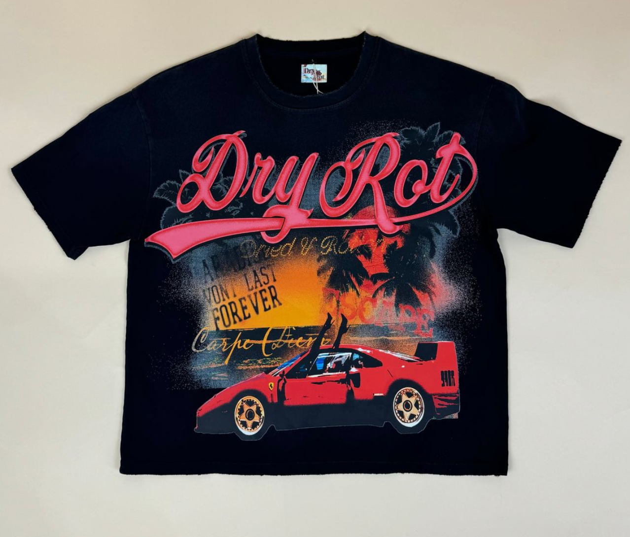 DRY ROT FOR THE MOMENT TEE BLACK
